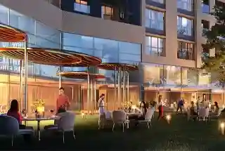 Party Lawn